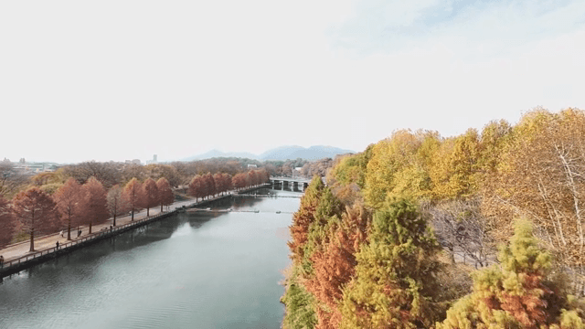 Scenic river lined with autumn trees