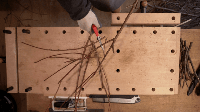 작업대에서 전정가위로 가지를 다듬는 사람