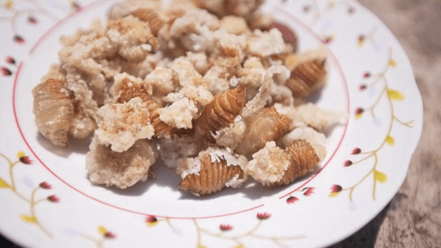 나무 테이블 위에 놓인 애벌레 탕수육