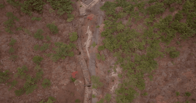 Winding road through a forest landscape