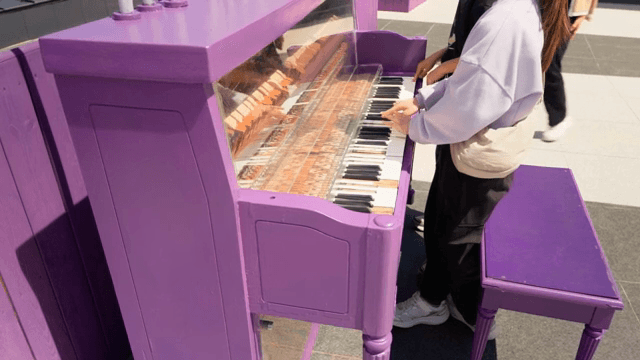 야외에서 보라색 피아노를 연주하는 사람