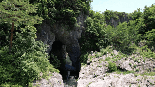 푸른 숲으로 둘러싸인 바위 동굴 계곡물