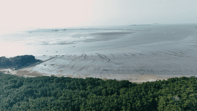 Wide mudflat beach with island visible in distance