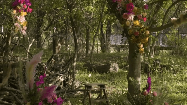 Forest with colorful flowers on trees