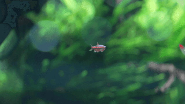 수족관에서 헤엄치는 화려한 물고기