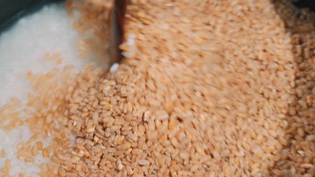 냄비에 흰쌀과 현미를 섞는 모습