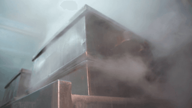 Steamer filled with steam