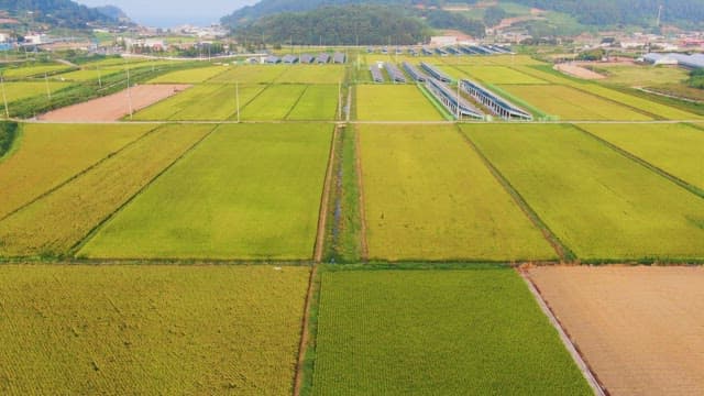 Expansive farmland with solar panels