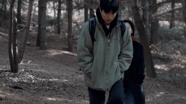 숲속에서 걸으며 대화하는 커플