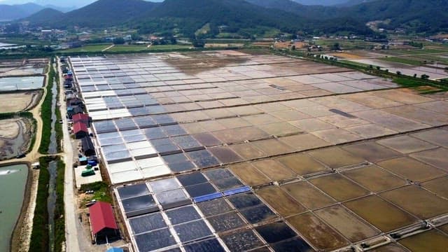 맑은 하늘 아래 시골의 대규모 염전