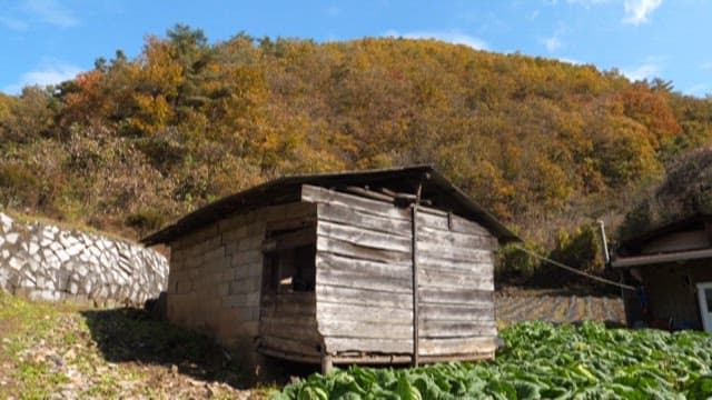 오두막과 채소밭이 있는 시골 풍경
