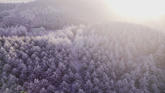 Snow-Covered Mountain in the Early Morning Light
