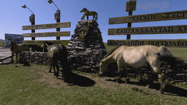 국립공원 표지판 근처의 말들