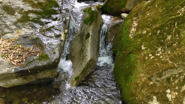Small waterfall flowing over mossy rocks