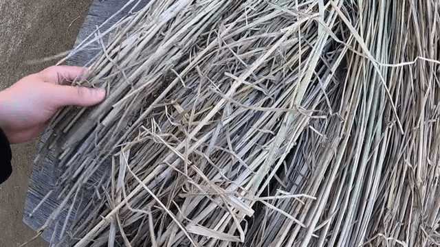 이엉을 만들기 위한 지푸라기