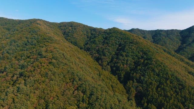 Lush Green Mountain Range