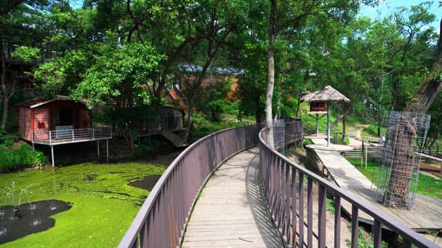 Scenic walkway in a lush green area with small huts