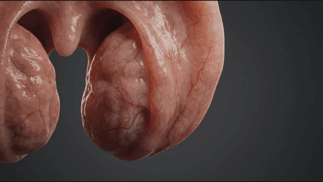 Inside human throat
