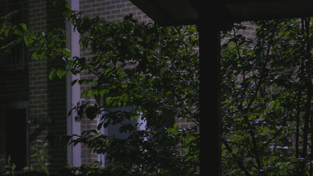 밤에 나무와 건물 배경의 정자에 떨어지는 빗물들