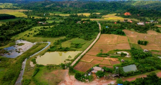 들판과 나무가 보이는 농촌 풍경