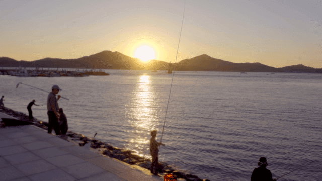 People fishing by the sea at sunset