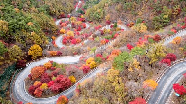 Steep and winding road with autumn foliage