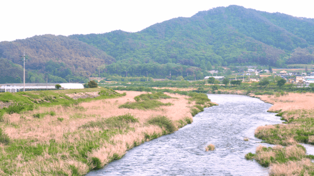 시골 풍경을 흐르는 평화로운 강