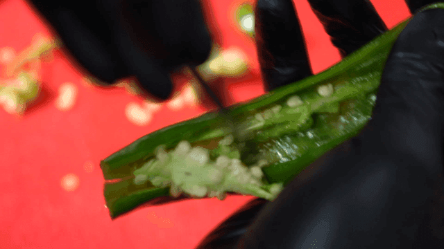 Hands scooping out insides of pepper