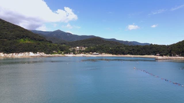 양식장 부표가 있는 산아래 바닷가