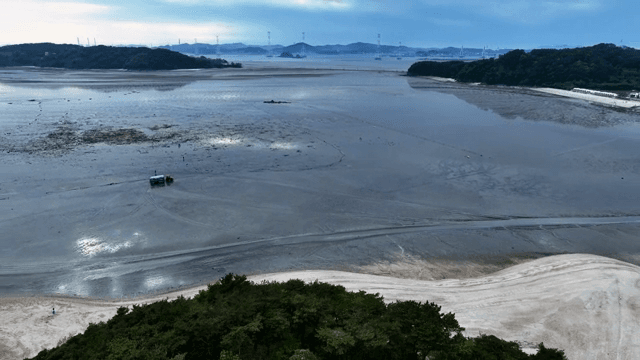 넓은 갯벌 위의 관광버스