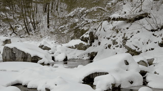 눈 덮인 바위와 나무가 있는 개울