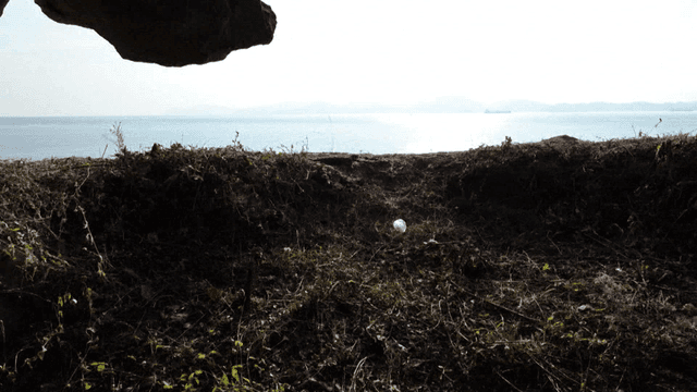 View from a cave overlooking the sea