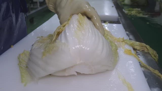 식품 공장에서 작업자가 칼로 배추를 손질하는 모습