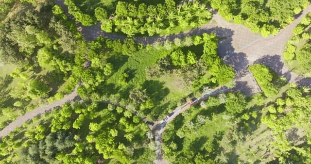 View of a lush green park