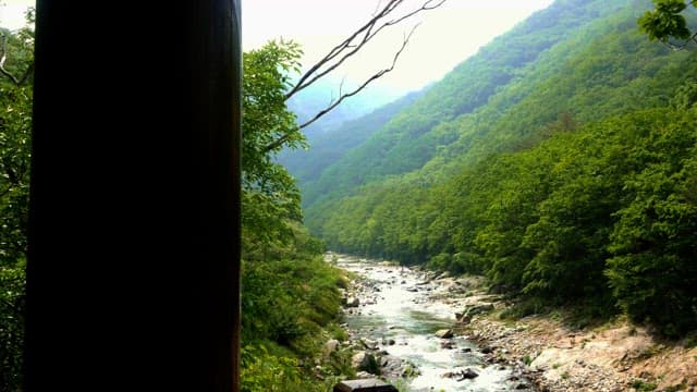 대낮에 푸른 산을 흐르는 계곡