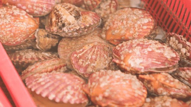 Fresh scallops in a red basket