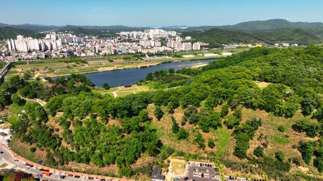 Lush green forest with a city in the background