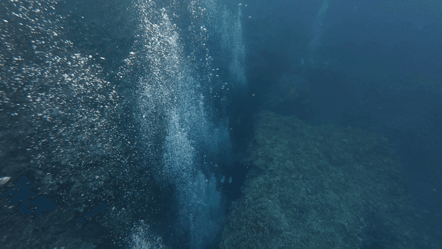 Bubbles rising in a deep underwater scene