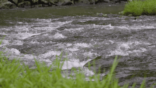 Flowing river with green grass