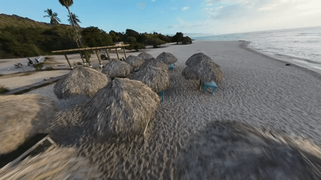 A serene beach with waves and lush greenery