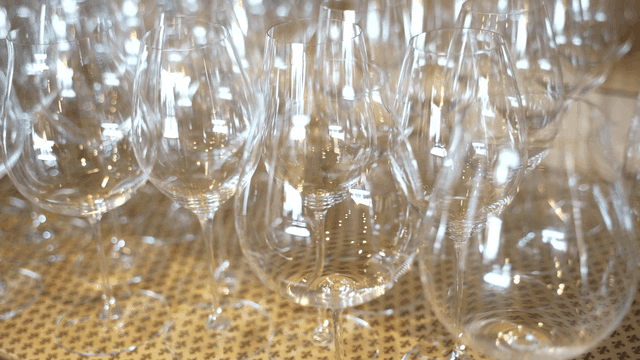 Collection of empty wine glasses