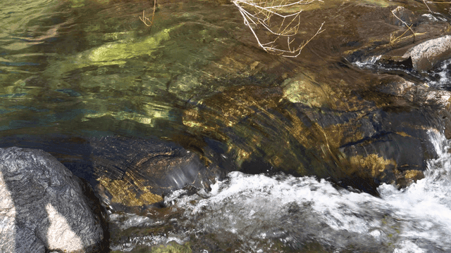 빠르게 흐르는 맑은 시냇물