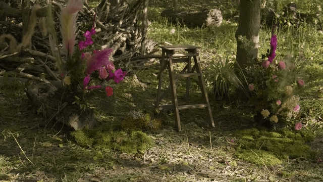 Forest floor with scattered leaves and flowers