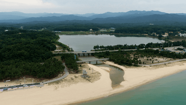 숲으로 둘러싸인 아름다운 해변