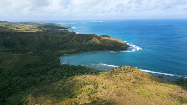 Secluded Coast with Tropical Rainforest under Clear Skies