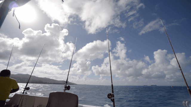 밝은 하늘 아래 배에서 낚시