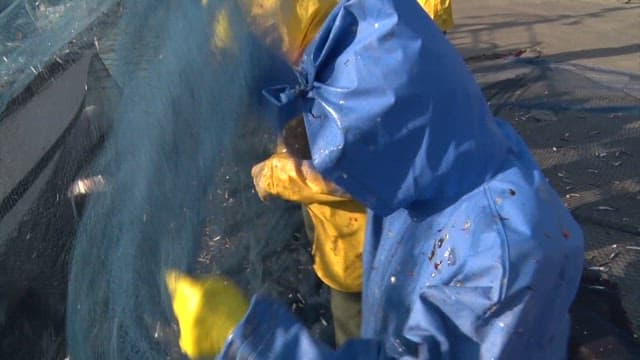 항구에서 어망을 청소하는 어부들