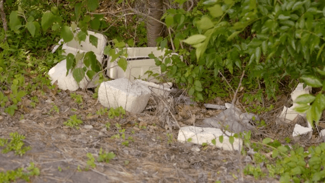 Styrofoam debris in a forested area