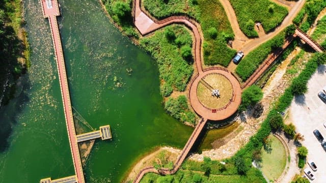 고요한 호수와 경치 좋은 공원의 항공 뷰