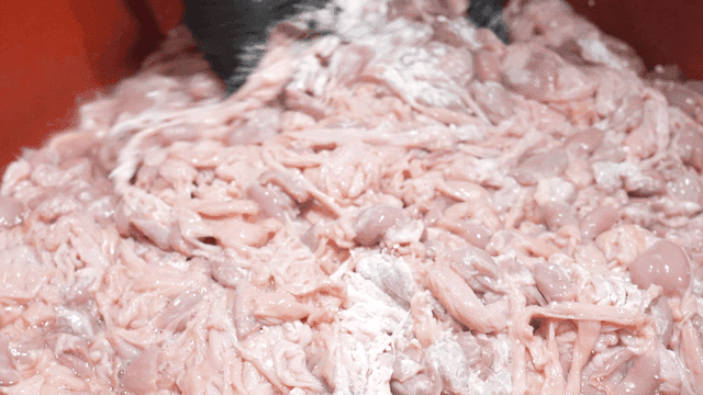 Hand mixing flour and raw chicken offal in bowl
